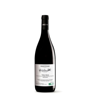 Montepulciano Tullum Rosso DOCG 2019 - Feudo Antico