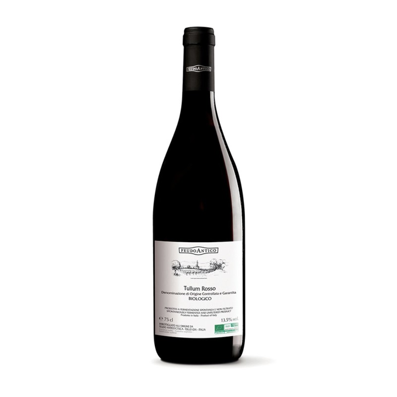 Montepulciano Tullum Rosso DOCG 2019 - Feudo Antico