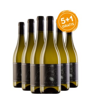 Sauvignon Marche IGT Animale Celeste - Santa Barbara [5+1 Gratis]