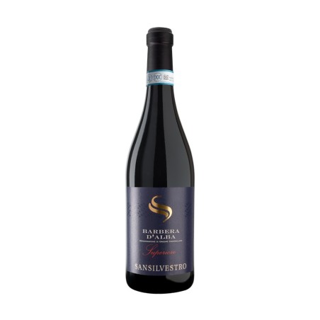 Barbera d'Asti Superiore DOCG 2020 - Sansilvestro