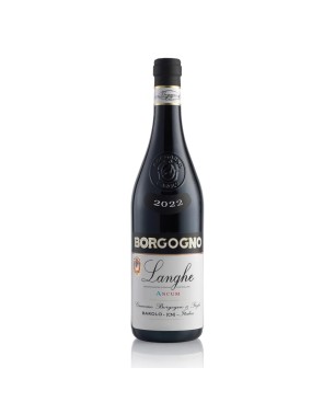 Dolcetto d'Alba DOC 2021 Ancum - Borgogno