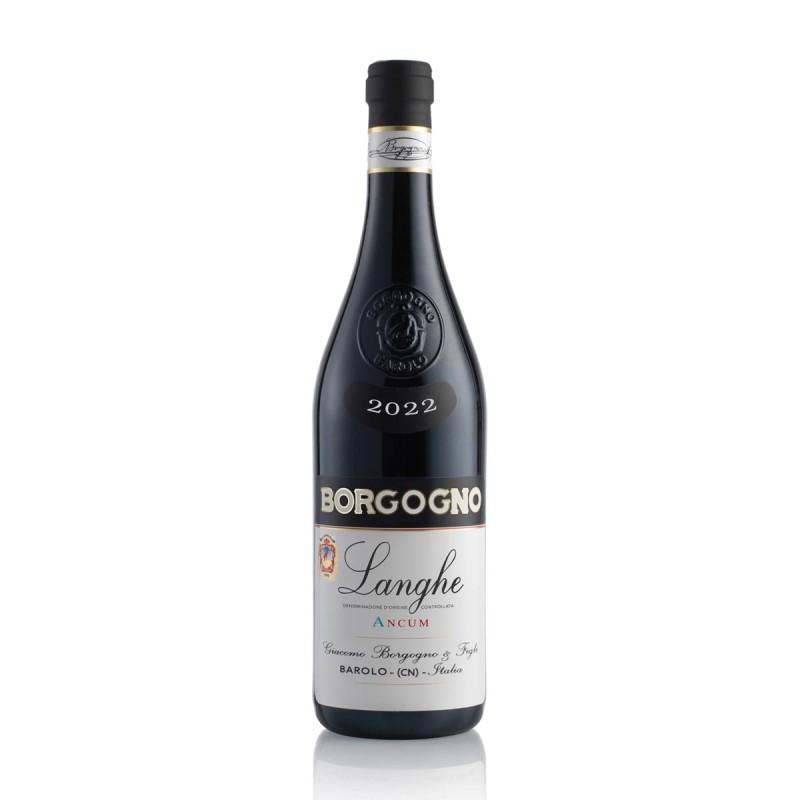 Dolcetto d'Alba DOC 2021 Ancum - Borgogno