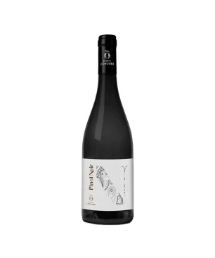 Pinot Noir Toscana IGT 2021 - Podere Concori