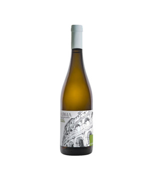 Malvasia Puntinata Roma DOC Bianco 2023 - Federici