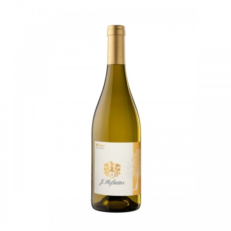 Sauvignon Vigneti delle Dolomiti IGT 2023 - Hofstätter