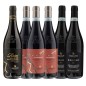 Amarone, Ripasso e Valpolicella BOX - Sartori [6 bot.]