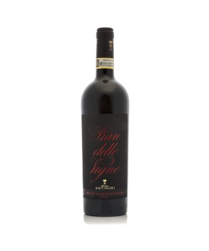 Brunello di Montalcino DOCG Pian delle Vigne 2019 - Antinori