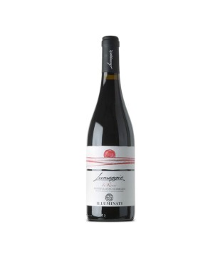 Montepulciano d'Abruzzo DOC Lumeggio di Rosso 2021 - Illuminati