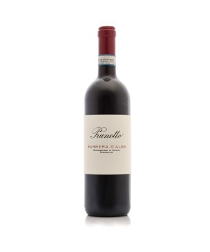 Barbera d'Alba DOC 2023 - Prunotto