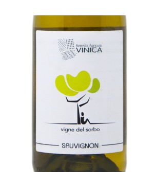 Sauvignon del Molise DOC Lame del Sorbo 2020 - Vinica