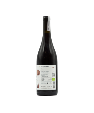 Pinot Nero Vigneti delle Dolomiti IGT Aurélie Sedimento 45 2022 - Dornach Patrick Uccelli