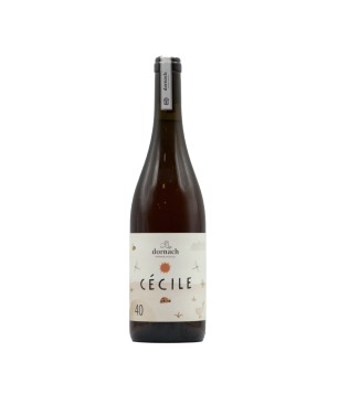 Souvignier Gris Mitterberg IGT Cécile 40 2022 - Dornach Patrick Uccelli