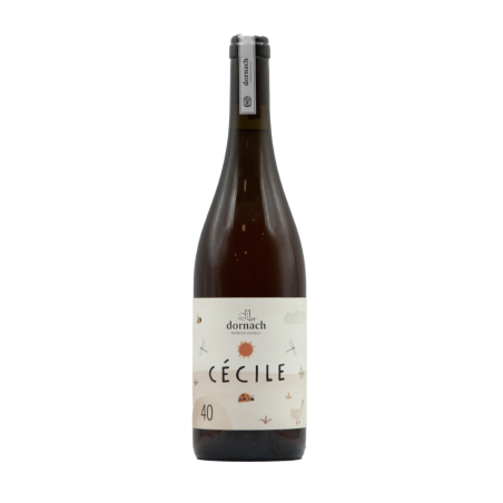 Souvignier Gris Mitterberg IGT Cécile 40 2022 - Dornach Patrick Uccelli