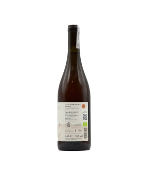 Souvignier Gris Mitterberg IGT Cécile 40 2022 - Dornach Patrick Uccelli