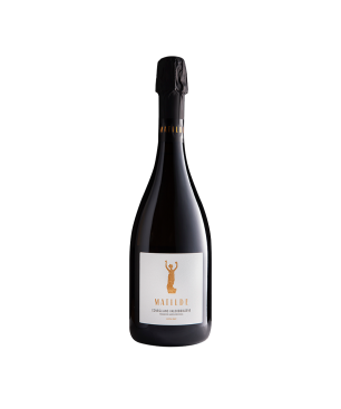 Prosecco Valdobbiadene Conegliano Superiore DOCG BIO Extra Dry - Matilde