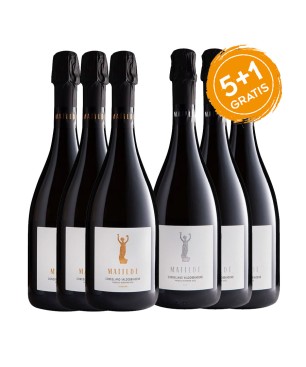 Prosecco Valdobbiadene Conegliano Superiore DOCG BIO MIX - Matilde [5+1 Gratis]