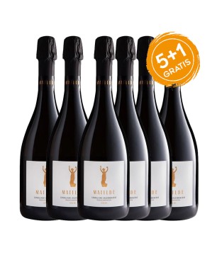 Prosecco Valdobbiadene Conegliano Superiore DOCG BIO Extra Dry - Matilde [5+1 Gratis]