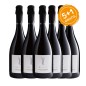 Prosecco Valdobbiadene Conegliano Superiore DOCG BIO Brut - Matilde [5+1 Gratis]