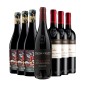 Amarone, Valpolicella e Appassimento BOX - Negrar [7 bot.]