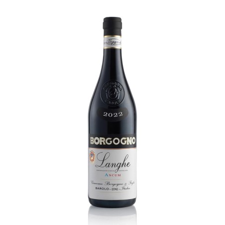 Langhe DOC 2022 Ancum - Borgogno