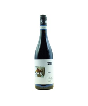 copy of Piedirosso Vesuvio DOP Vipt 2022 - Cantine Olivella