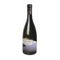 Pinot Nero Friuli Grave DOC Torre 2023 - Torre Rosazza