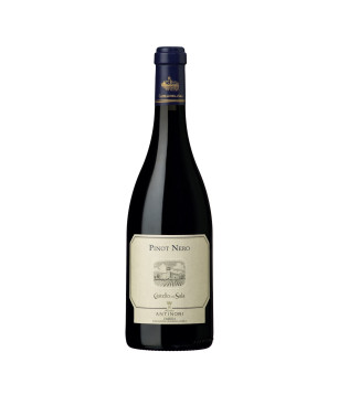 Pinot Nero Umbria IGT Castello della Sala 2021 - Antinori