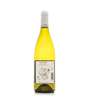 Chardonnay Venezia Giulia IGT 2023 - Attems