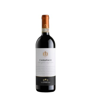 Sagrantino di Montefalco DOCG Carapace 2019 Tenuta Castelbuono - Tenute Lunelli