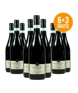 Barbera d'Alba DOC 2021 - Cascina Botal - Cascina Botal [6+3 Gratis]