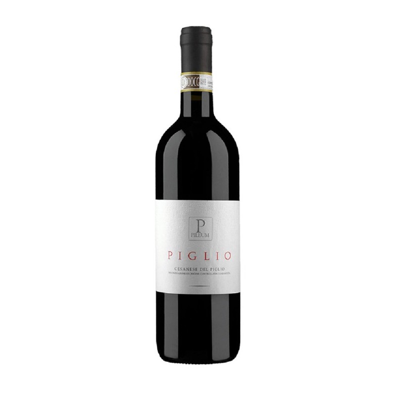 Cesanese del Piglio Classico DOCG 2023 - Pileum