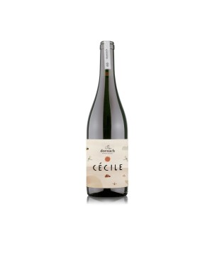 Souvignier Gris Mitterberg IGT Cécile 50 2023 - Dornach Patrick Uccelli