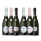 Berlucchi '61 Franciacorta Box [6 bot.]