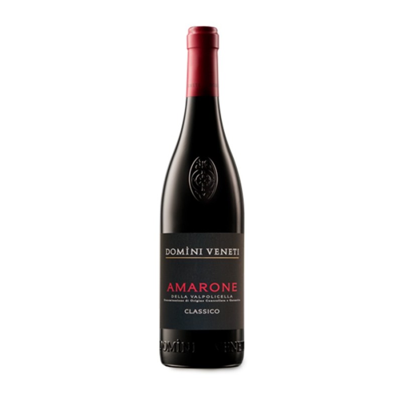 Amarone della Valpolicella Classico DOCG 2021 - Negrar Domini Veneti