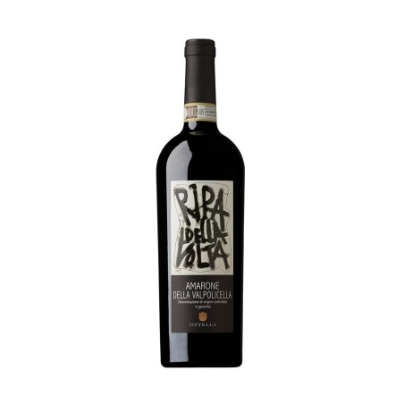 Amarone della Valpolcella BIO 2021 - Ripa della Volta