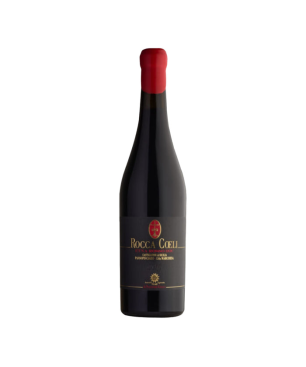 Etna Rosso DOC Rocca Coeli 2016 - Palari