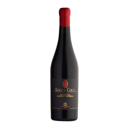 Etna Rosso DOC Rocca Coeli 2016 - Palari