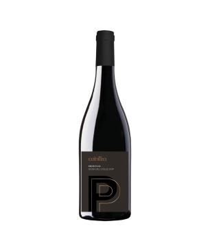 Primitivo di Manduria DOP Bio Cabtiza 2023 -  Gioia del Colle