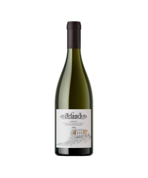 Sauvignon Blanc Friuli Doc 2023 - Arlanch