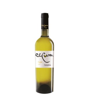 Falanghina Igp Eccum 2023 - Antica Cantina Di San Severo