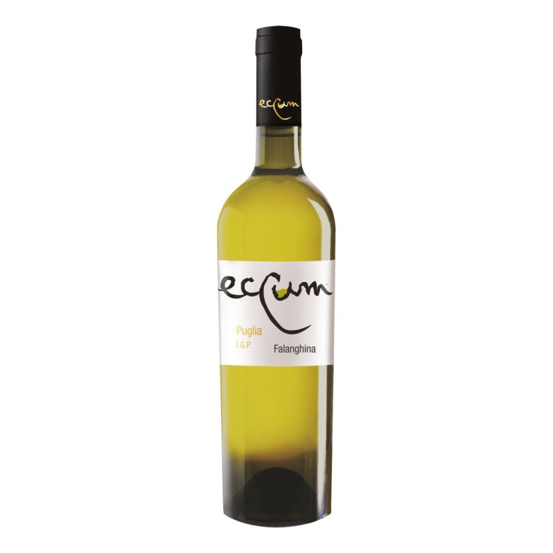 Falanghina IGP Eccum 2023 - Antica Cantina di San Severo