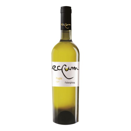 Falanghina Igp Eccum 2023 - Antica Cantina Di San Severo