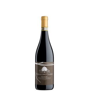 Amarone della Valpolicella DOCG 2017 - Borgo dei Ciliegi