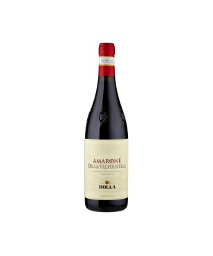 Amarone della Valpolicella Classico DOCG 2019 - Bolla