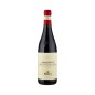 Amarone della Valpolicella Classico DOCG 2019 - Bolla