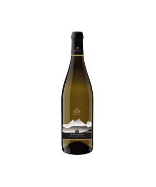 Pinot Grigio Trentino DOC 2023 - Plazzer