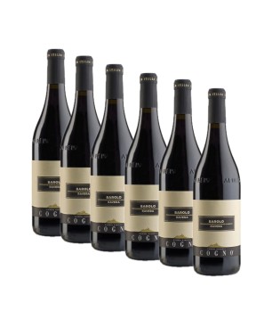 Barolo Ravera DOCG 2019 - Elvio Cogno [Box 6 bottles]