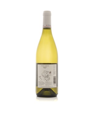 Pinot Grigio Friuli DOC 2023 - Attems