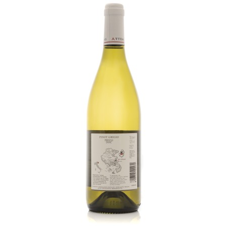 Pinot Grigio Friuli DOC 2023 - Attems