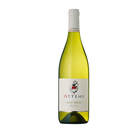 Pinot Grigio Friuli DOC 2023 - Attems